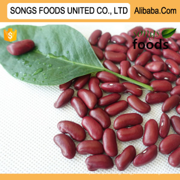 Red Kidney Beans Manufacturers Best Price